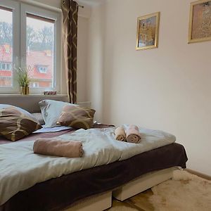 Appartement met een Slaapkamer